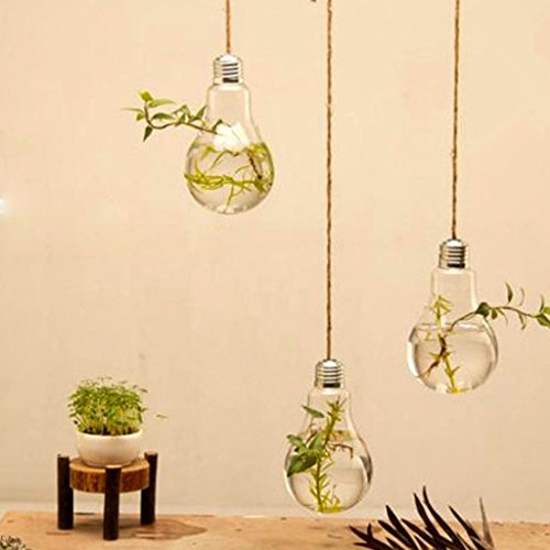 Gazechimp Klare Lampenglas Blühbirne – Glühbirnenvase Vase Flasche Für Pflanzenblumenschmuck - 9