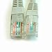 Produktbild POWERGREEN – Brauseschlauch grau RJ45 CAT 6 UTP 30 Meter