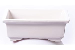 Alfareros Damian Canovas Maceta para Bonsai DE Barro Y ESMATADA EN Color Blanco. Medidas 22X16X8 CM.Modelo Tokio. con TU Compra TE REGALAMOS EL Plato.