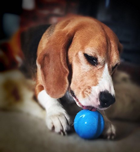Snug-Solid-Rubber-Dog-Balls-Wave-Shaped-Chew-Toy-Tennis-Ball-Size-Virtually-Indestructible-2-Pack