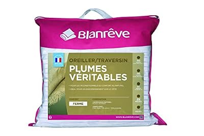 Blanrêve Oreiller Plume 60 x 60