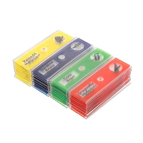 Preisvergleich Produktbild Wuudi 48 Stück Mikroskop-Objektträger für Kinder, Kunststoff, biologische Exemplare Rutschen, Tiere, Insekten, Pflanzen, Blumen, Proben Exemplare, Slides Stereo-Mikroskop-Zubehör