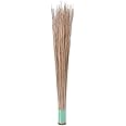 N.A Supplier Brown Color Natural Coconut Leaf Grass Broom Stick Jhadu for Home and Kitchen Cleaning Broom Stick (Teela/Nariyal Jhadu) Set of 1