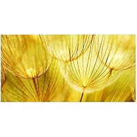 Suchergebnis Auf Amazon De Fur Memoboard Letzter Monat Kuche