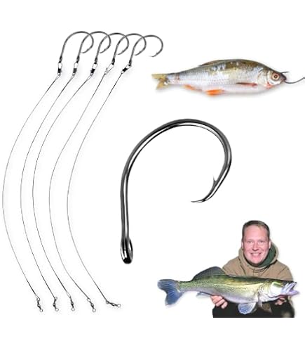 Circle, Octopus, and Shark Fishing Hooks Circle, Octopus, and Shark Fishing Hooks