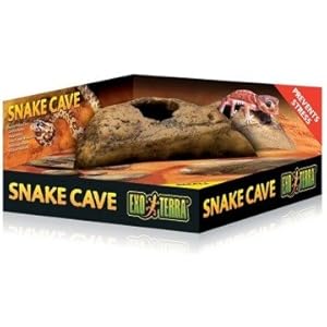 Höhle Schlangen Kleine