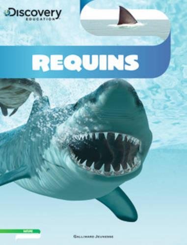 Download Requins Download Requins