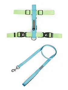 The Pawpstar Co Dog Harness and Leash Combo by Aditya Birla New Age / Dog Walking Nylon Harnsss and Leash Combo (Blue and Lime Green, Large)