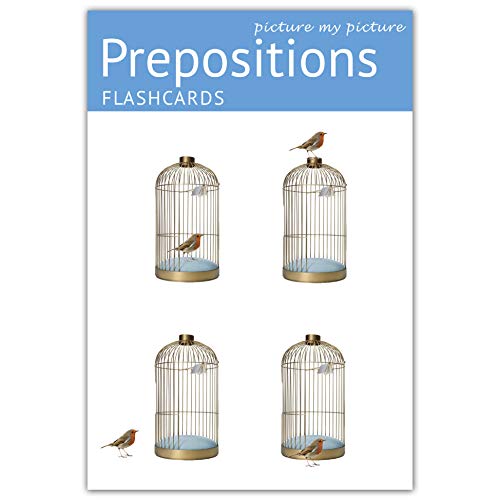 Picture My Picture Preposiciones Flashcards | 40 posicionales de desarrollo del lenguaje tarjetas fotográficas | Materiales para Terapia del Habla, Inglés como Segundo Idioma (ESL) y Autismo (ABA)