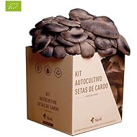 Amazon.es: Kits de cultivo en casa: Jardín