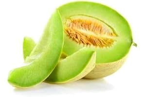 HAPPY GREEN SHOP Melon Honey Dew - 30 Seeds + Freebie + Plant tag - Cucumis melo