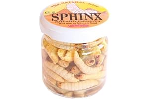 PESCASUBITO Camole Bianche Vere Mummificate Esca Pesca Trota Mummie Camola