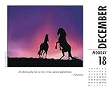 Image de What Horses Teach Us 2017 Calendar