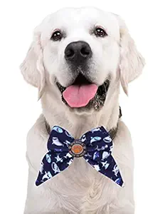 D'chica Paws Detachable Collar Bow Only (no Collar) for Dogs Blue & Silver -Use with Any Dog Collar.