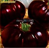 tomate dulce en ingles  Portal Cool Negro elefante tomate Semillas OrgÃ¡nica Gran Tomate dulce Plantar Huerto