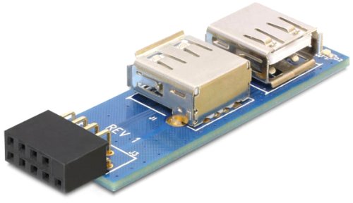 DELOCK MBz USB Pinheader Bu > 2x USB2.0-A Bu