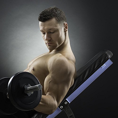CAPITAL SPORTS Compactar klappbare Hantelbank Trainingsbank (Gewichte-Bank, Rückenlehne und Sitzfläche einstellbar, Polsterung Kunstlederbezug) - 2