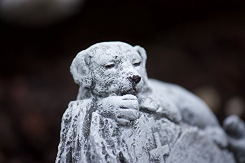 Grabschmuck Grabstein Hund „Geliebt und unvergessen“, frost- und wetterfest bis 30°C, massiver Steinguss - 4