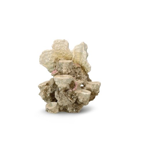 euopet Bernina Internacional Aquarian decoración Aqua Della para 10 Arrecife de Coral, 50 x 25 x 34,5 cm