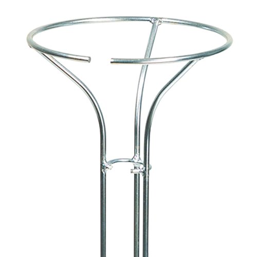 Videx Rosenständer Ruby, Höhe 120cm, verzinkt