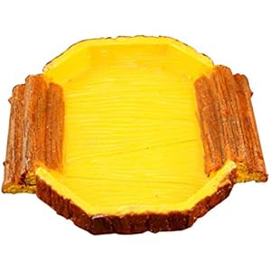 Zhhlinyuan Reptilienzubehör Pet Cage House Cave Decoration Resin Reptile Water Tank Bowl dock Spider Scorpion Gecko Insect Snake Turtle Christmas Gift November 11th