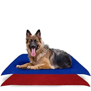 AMORITE? Waterproof Reusable Washable Pee Pads & Hygenic Pet Dry Sheet (Large Combo, Royal Blue + Maroon)