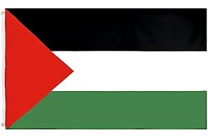 JUKOTA Banderas de aricona – bandera de Palestina resistente a la intemperie con 2 ojales de metal - bandera palestina 90 x 150 cm