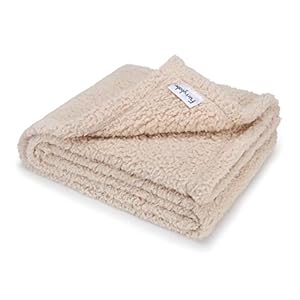 Furrybaby – Alfombrilla para cama de perro con parte inferior antideslizante, lavable a máquina, colchón para mascotas