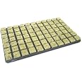 Grodan rock wool propagation mat 77-Piece Tray 3.6 x 3.6 cm