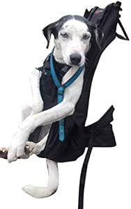 Sac à Dos Transporteur Pour Chien Ou Chat - Ventilé, Léger, Avec Poches | Randonnée, Vélo, Voyage - 4