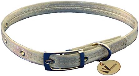 Vedante Super Reflective Dog Collar with Bonus Glow in the Dark Tag (Small, Silver)