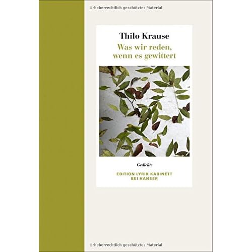 Was wir reden, wenn es gewittert: Gedichte. Edition Lyrik Kabinett