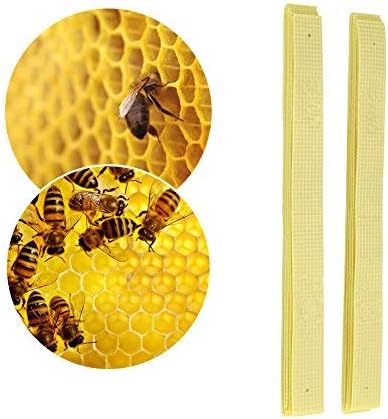40 Unids Tiras Plásticas Tiras de Fluvalinato Ácaro Varroa dewin Medicina Apícola Medicina Asesina Apícola Tiras De Plástico Tira De Fluvalinato Abeja Ácaro Varroa Asesino Apicultura Medicina