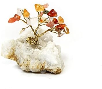 2" Gem Tree Red Agate