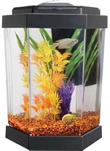 petco small fish tanks