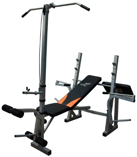 Preisvergleich Produktbild GAT SLIM Hantelbank mit Latzug und Armcurlauflage, 90001002