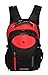 Swissgear Red 35 Ltrs. Laptop Backpack With Audio Jack and Rain Cover RS.3599.00