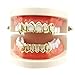Produktbild Grills InSense 1 Set Top and Bottom Mouth Teeth Grills Hip Hop Teeth Grillz Removable Dental Grills (Gold)