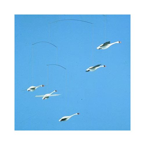 flens Ted Mobile Les Cygnes du Nord