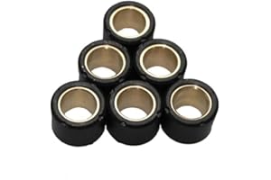 CITOMERX Variomatikgewichte Variomatikrollen Rollen 16x13 6,5 g 6 Stück kompatibel mit Herkules, Honda, Kymco, Peugeot Buxy Speedfight TKR Trekker Vivacity, Piaggio Fly NRG Sfera TPH Typhoon Zip, Vespa