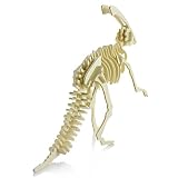 3D-Puzzles Aus Holz – Parasaurolophus - 2