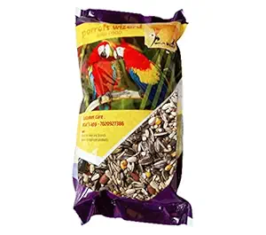 Parrots Wizard, Big Parrot Food 31 Types of Seed Mix [450 Grams], (Pack 1)