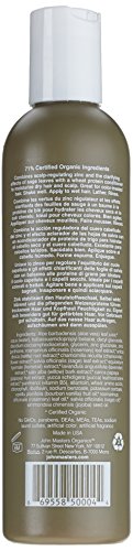 John Masters Organics zinc and sage shampoo with conditioner, Spülung, 236 ml - 2