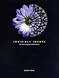 Invisible Images: The Silent Language of Architecture and the Selected Works of Beverly Willis by 