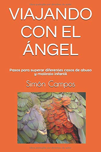 VIAJANDO CON EL ÁNGEL: Pasos para superar diferentes casos de abuso y maltrato infantil