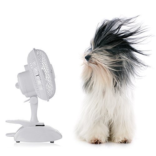 AMOS 6" 15cm Clip & Tisch Ventilator Tragbarer Klemme Tischventilator Haus Büro Windmaschine 2 Geschwindigkeit Kippen Einstellbare Luftkühlung Elektrolüfter