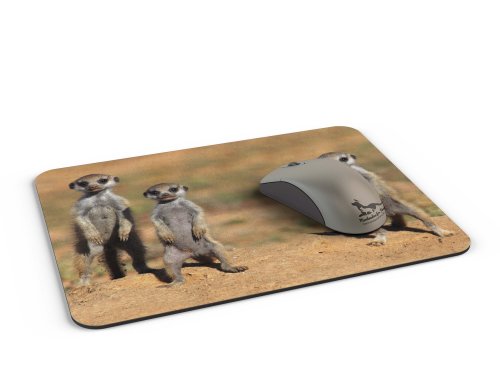 Mauspad / Mouse Pad aus Textil mit Rückseite aus Kautschuk rutschfest für alle Maustypen Motiv: Erdmännchen drei Jungtiere in der Kalahari Wüste [12] - 2