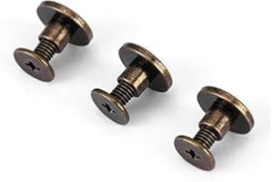 HZTYYIER 20Pcs Chicago Screw Posts for Leather, Flat Leather Rivets Assortment Kit for Purse, Belt, Collar, Luggage, Backpack(5mm)