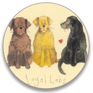 Price comparison product image Alex Clark Loyal Labs Key ring