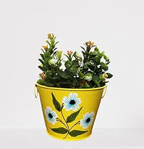 TNZ Creations, Metal Plant Pot with Hand Painted Flower, Strong and Durable and More Cost Effective. Colour Yellow (Item Package Quantity 1 Piece ) Plants just for Display not Including with The Pot.